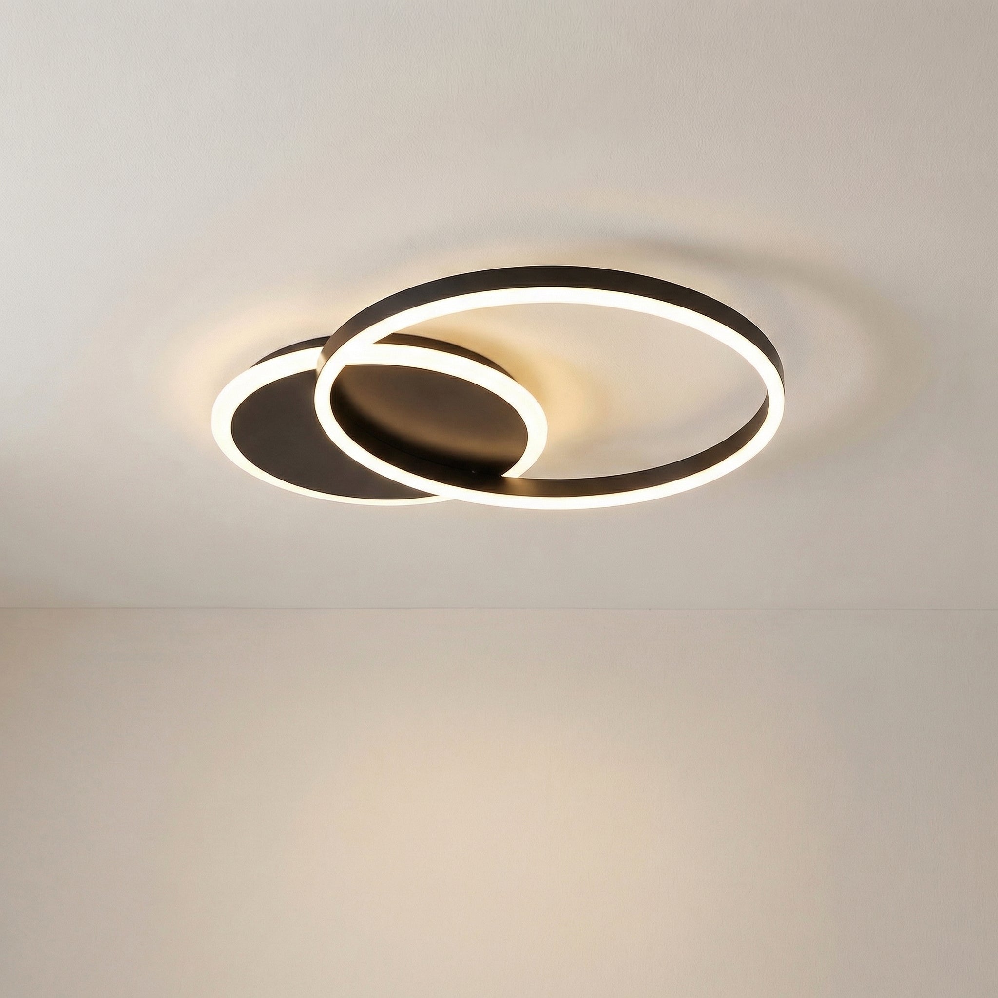 Randale's Ceiling Light